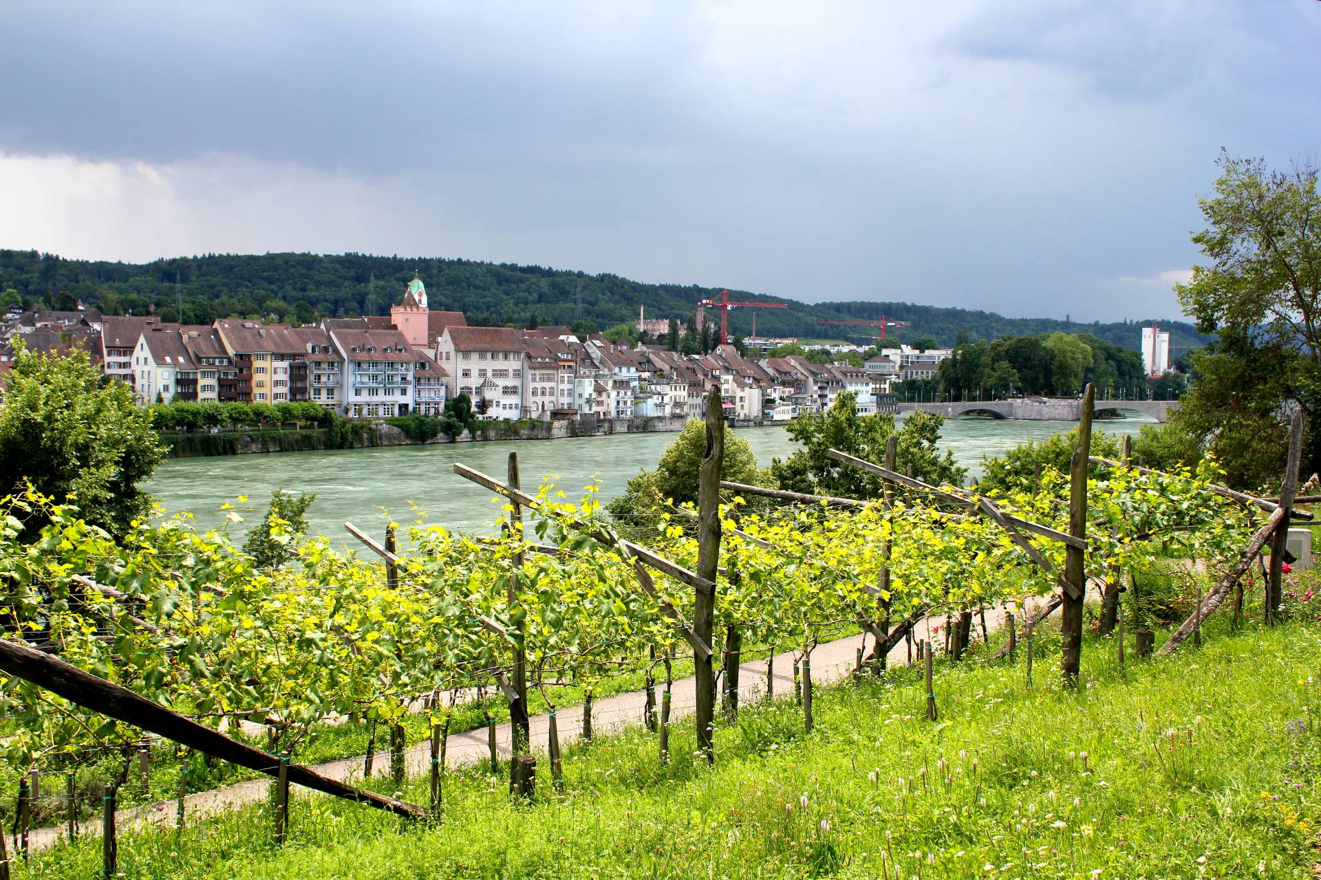 Die beiden Rheinfelden Trois pays à vélo DreilandRadregion